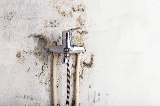Office Mold Removal Services in Gordon, PA