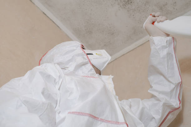 Best Fast Mold Removal  in Gordon, PA